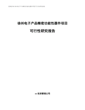 徐州电子产品精密功能性器件项目可行性研究报告（范文）