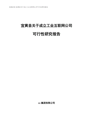 宜黄县关于成立工业互联网公司可行性研究报告（模板参考）