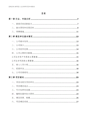 新邵县工业互联网项目申请报告（模板）