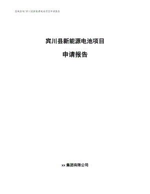宾川县新能源电池项目申请报告【模板】