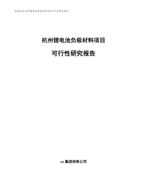 杭州锂电池负极材料项目可行性研究报告