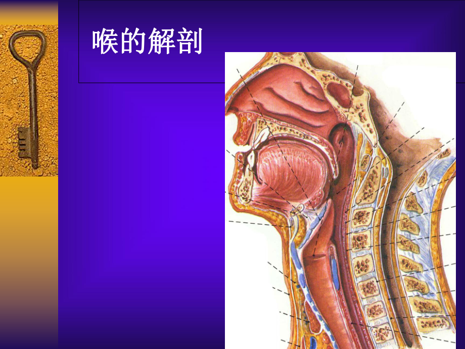 《喉部的CT解剖》PPT课件_第1页