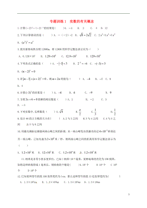 山東省龍口市蘭高鎮(zhèn)2018中考數(shù)學二輪復習 專題訓練1 實數(shù)的有關概念（無答案） 魯教版