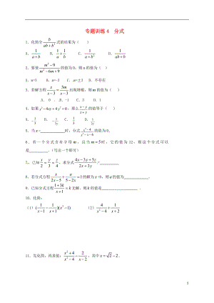 山東省龍口市蘭高鎮(zhèn)2018中考數(shù)學(xué)二輪復(fù)習(xí) 專題訓(xùn)練4 分式（無答案） 魯教版