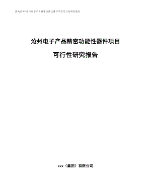 沧州电子产品精密功能性器件项目可行性研究报告
