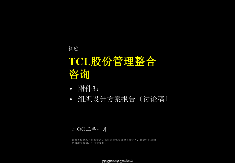 TCL股份有限公司组织设计方案_第1页