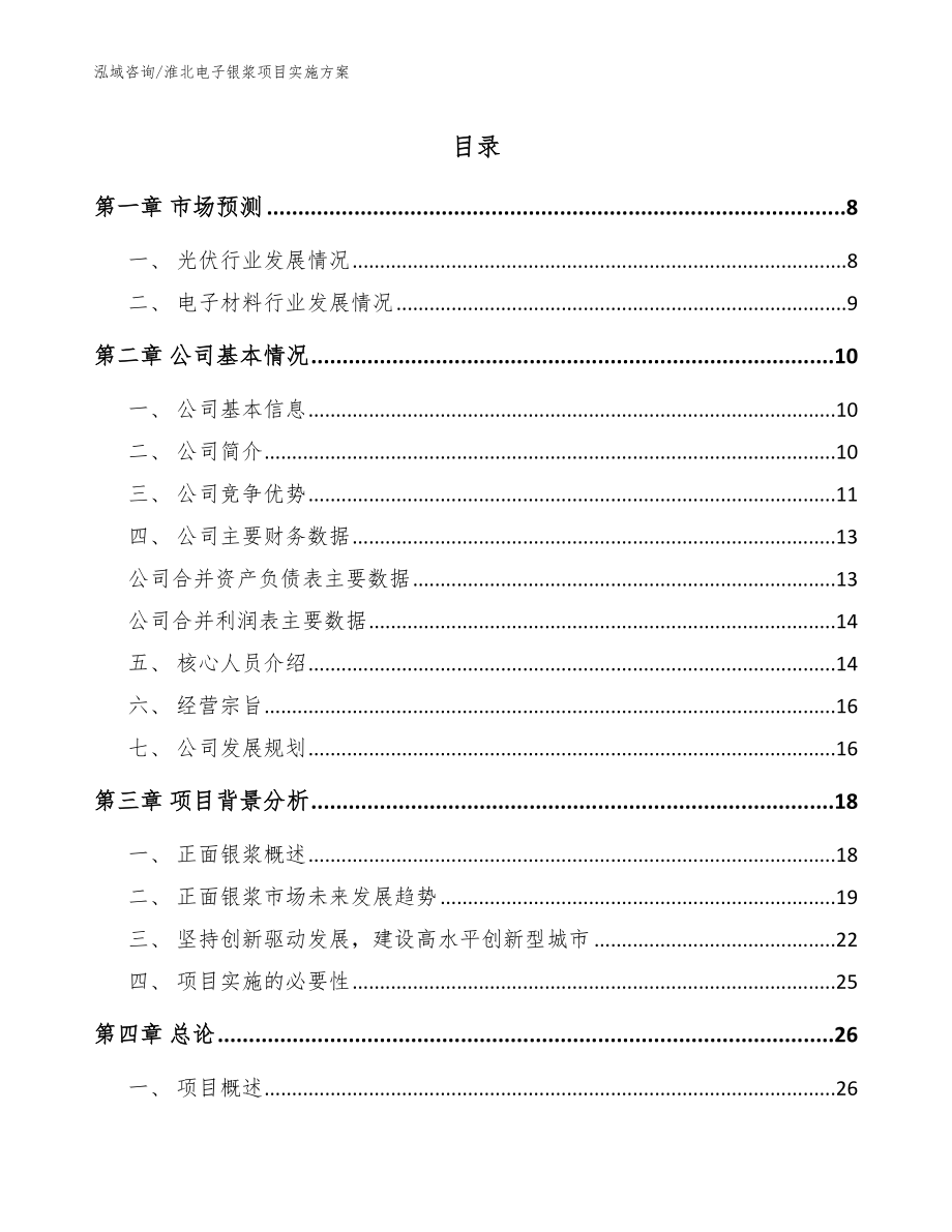 淮北电子银浆项目实施方案（模板）_第1页