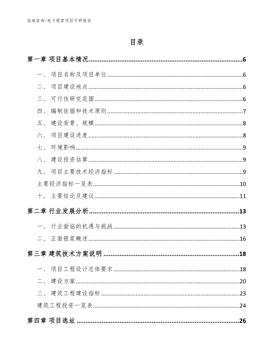 电子银浆项目可研报告_模板范本_第1页