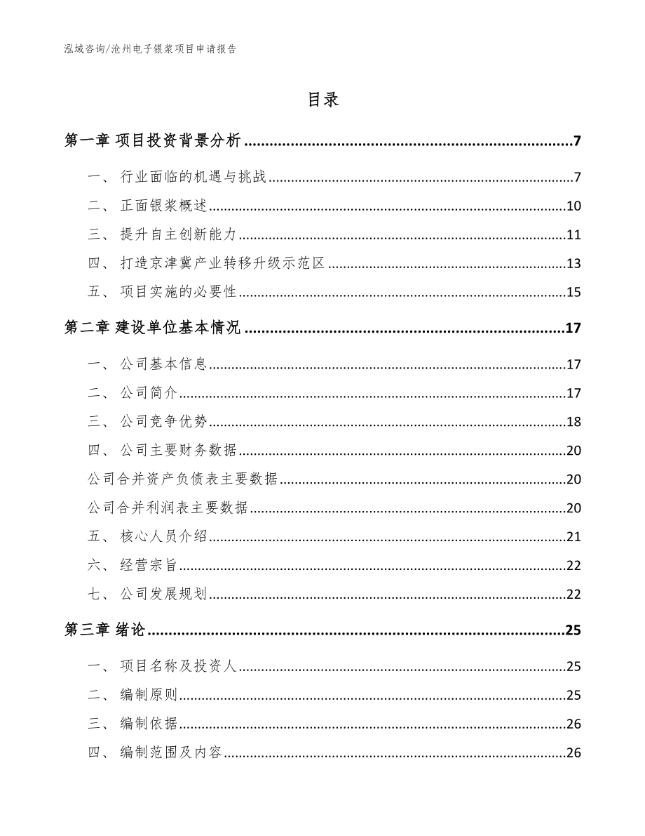 沧州电子银浆项目申请报告【模板参考】_第1页