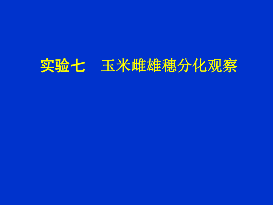 实验七玉米雌雄穗分化观察_第1页