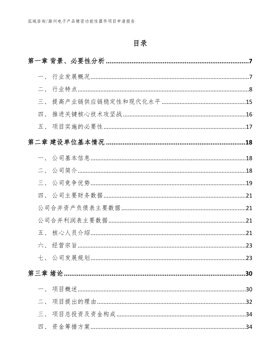 滁州电子产品精密功能性器件项目申请报告_模板范文_第1页