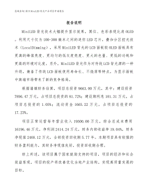 滨州MiniLED背光产品项目申请报告参考范文
