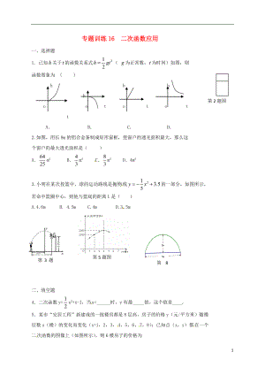 山東省龍口市蘭高鎮(zhèn)2018中考數(shù)學二輪復習 專題訓練16 二次函數(shù)應(yīng)用（無答案） 魯教版