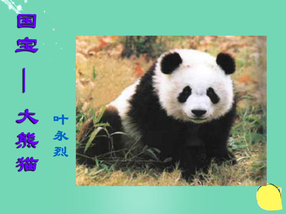 学七年级语文下册第四单元第17课国宝大熊猫课件苏教版_第1页