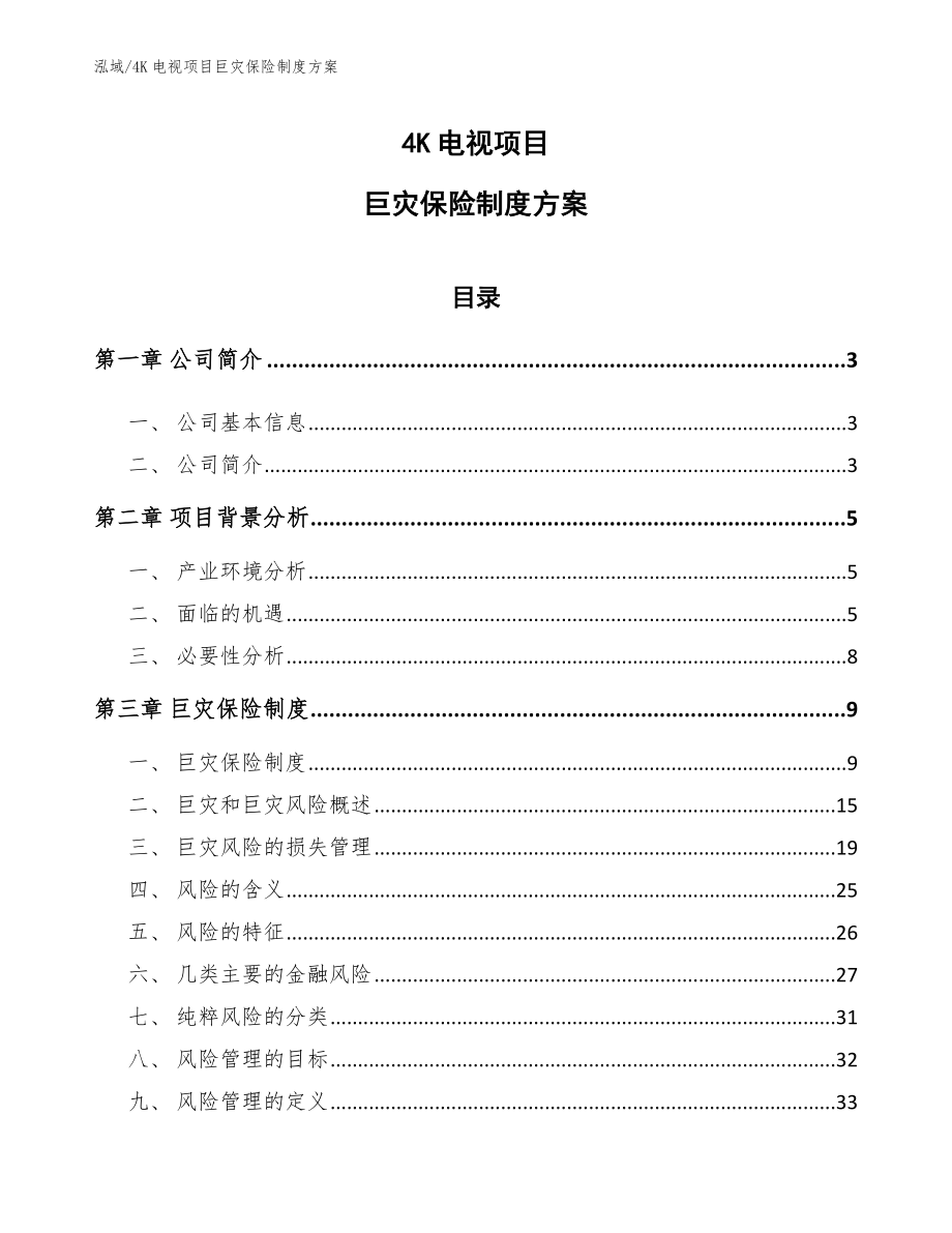 4K电视项目巨灾保险制度方案（参考）_第1页