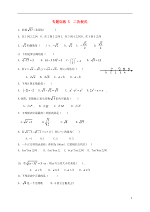 山東省龍口市蘭高鎮(zhèn)2018中考數(shù)學(xué)二輪復(fù)習(xí) 專題訓(xùn)練5 二次根式（無答案） 魯教版