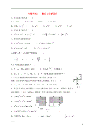 山東省龍口市蘭高鎮(zhèn)2018中考數(shù)學(xué)二輪復(fù)習(xí) 專題訓(xùn)練3 整式與分解因式（無答案） 魯教版