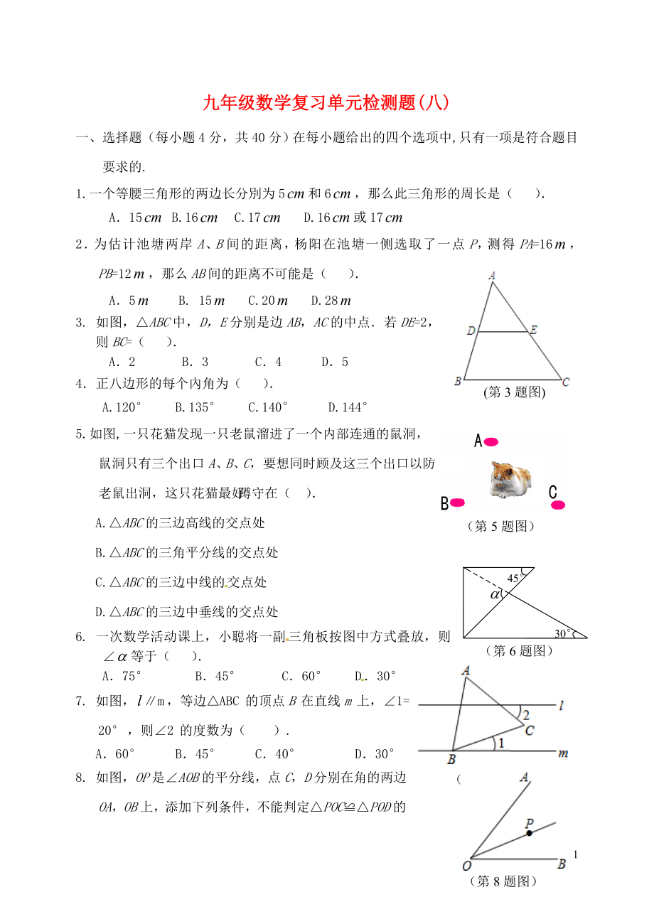 山東省郯城縣紅花鎮(zhèn)2018屆中考數(shù)學(xué)專題復(fù)習(xí) 專題五 單元檢測題（八）_第1頁