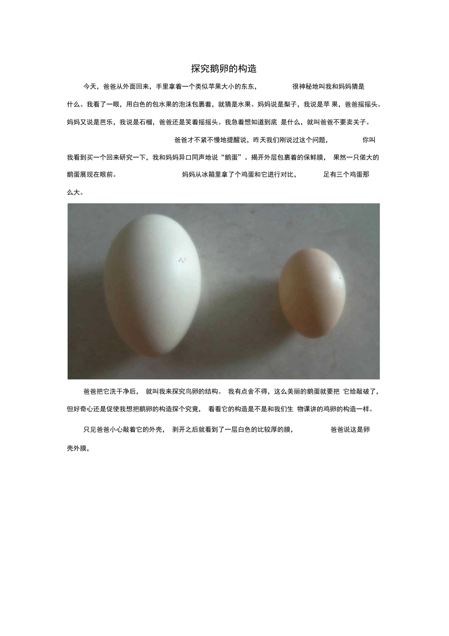 八年级生物上册4.2.3鸟的生殖和发育资料扩展探究鹅卵的构造素材新版济南版_第1页