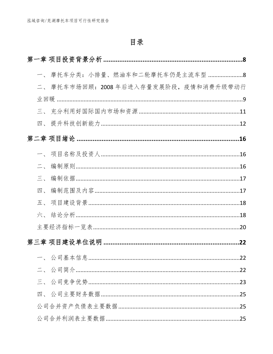 芜湖摩托车项目可行性研究报告_范文参考_第1页