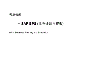 SAPBPS业务计划与实施模拟