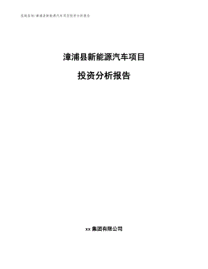 漳浦县新能源汽车项目投资分析报告【范文模板】