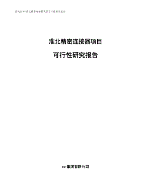 淮北精密连接器项目可行性研究报告（参考范文）