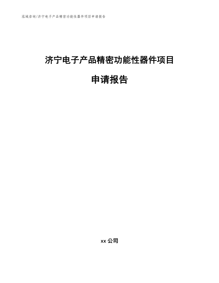 济宁电子产品精密功能性器件项目申请报告（模板范本）_第1页