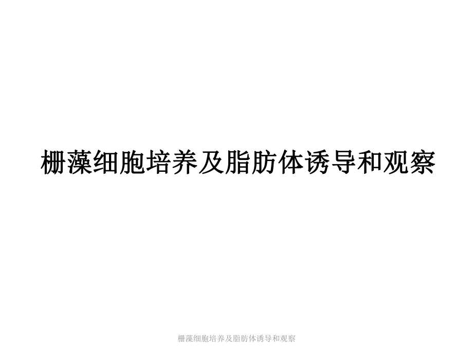 栅藻细胞培养及脂肪体诱导和观察课件_第1页