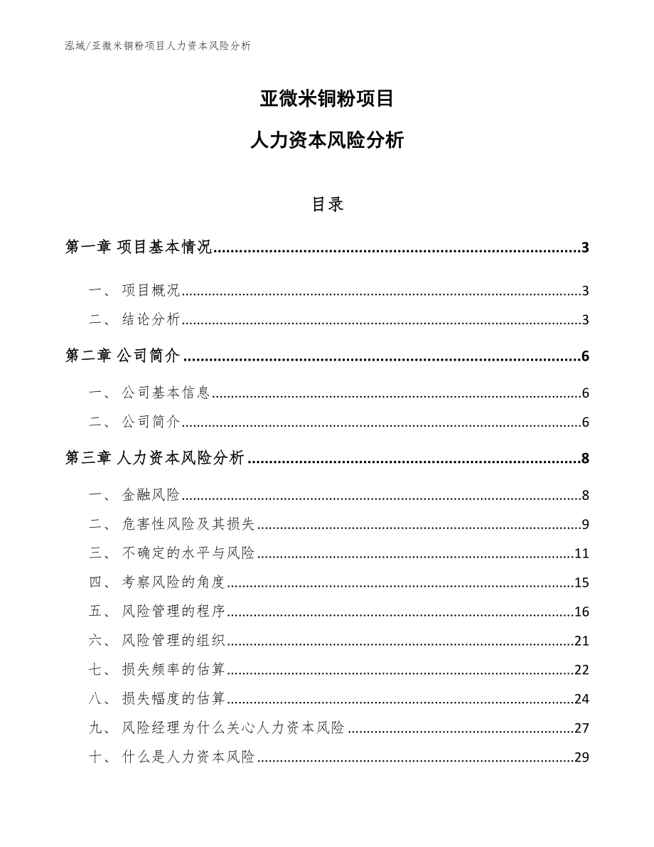 亚微米铜粉项目人力资本风险分析_第1页