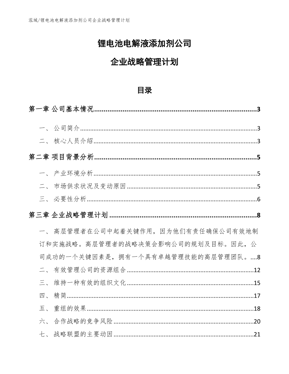 锂电池电解液添加剂公司企业战略管理计划_第1页