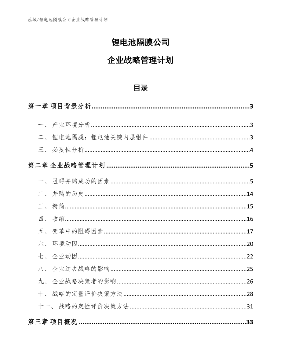 锂电池隔膜公司企业战略管理计划_第1页