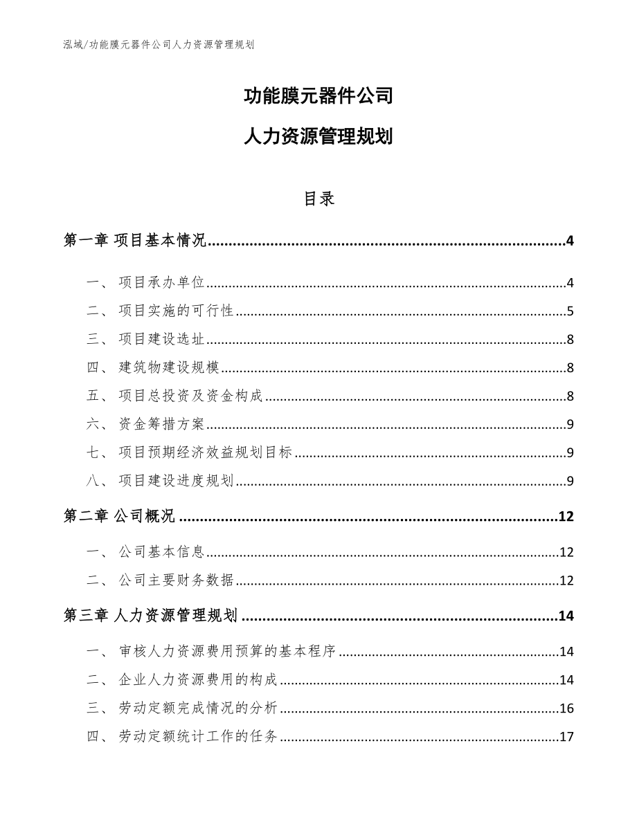 功能膜元器件公司人力资源管理规划_第1页