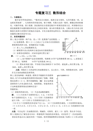 專題復(fù)習(xí)(3) 數(shù)形結(jié)合(含問題詳解)