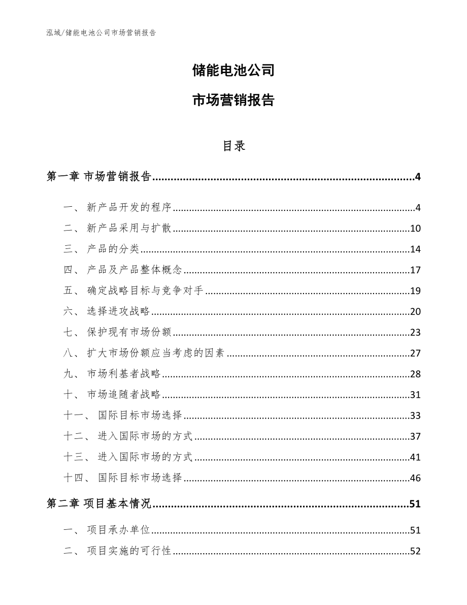 储能电池公司市场营销报告（范文）_第1页