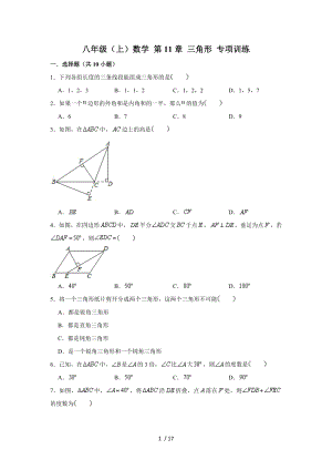 人教新版 八年級上冊數(shù)學(xué) 第11章 三角形 專項(xiàng)訓(xùn)練