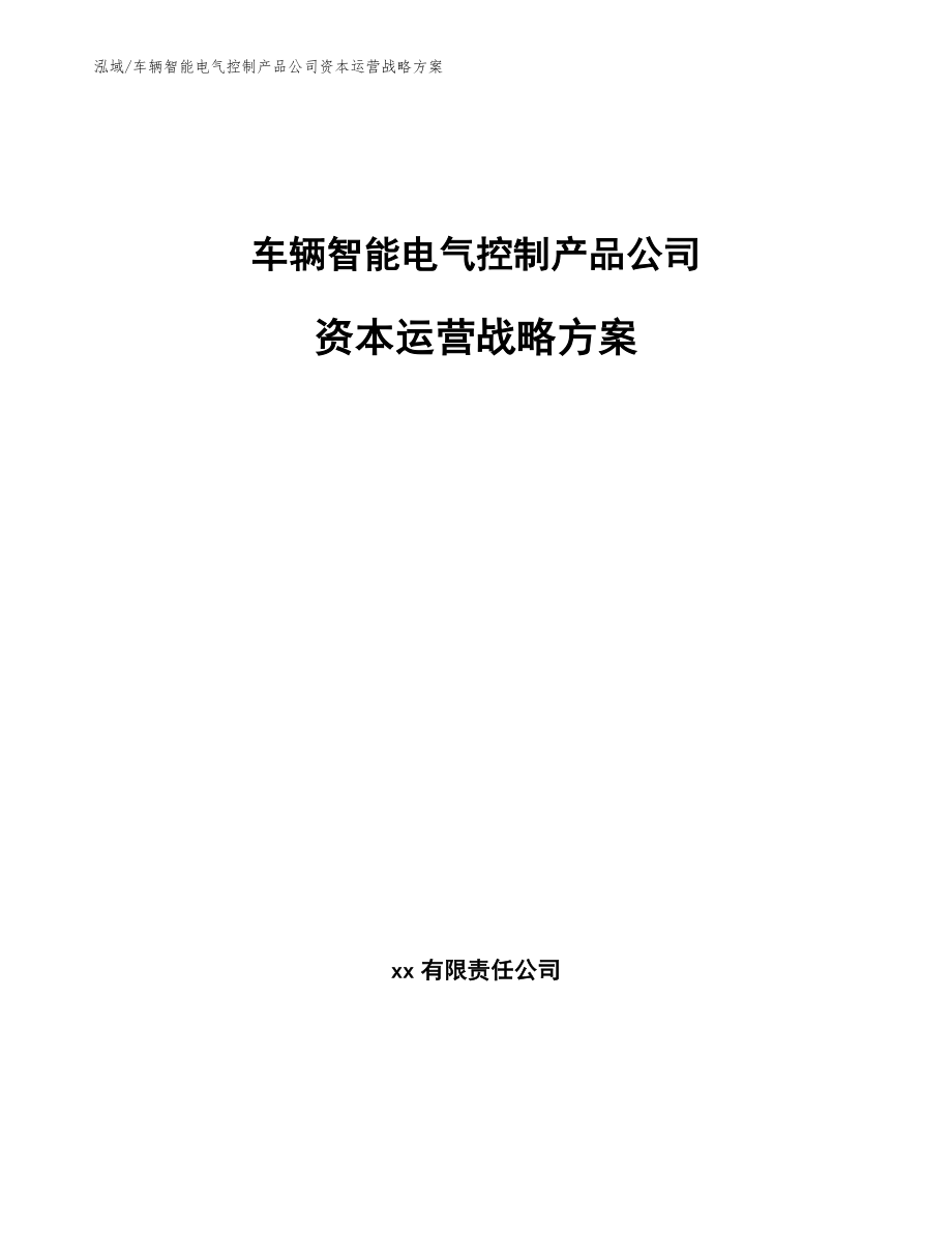 车辆智能电气控制产品公司资本运营战略方案_第1页