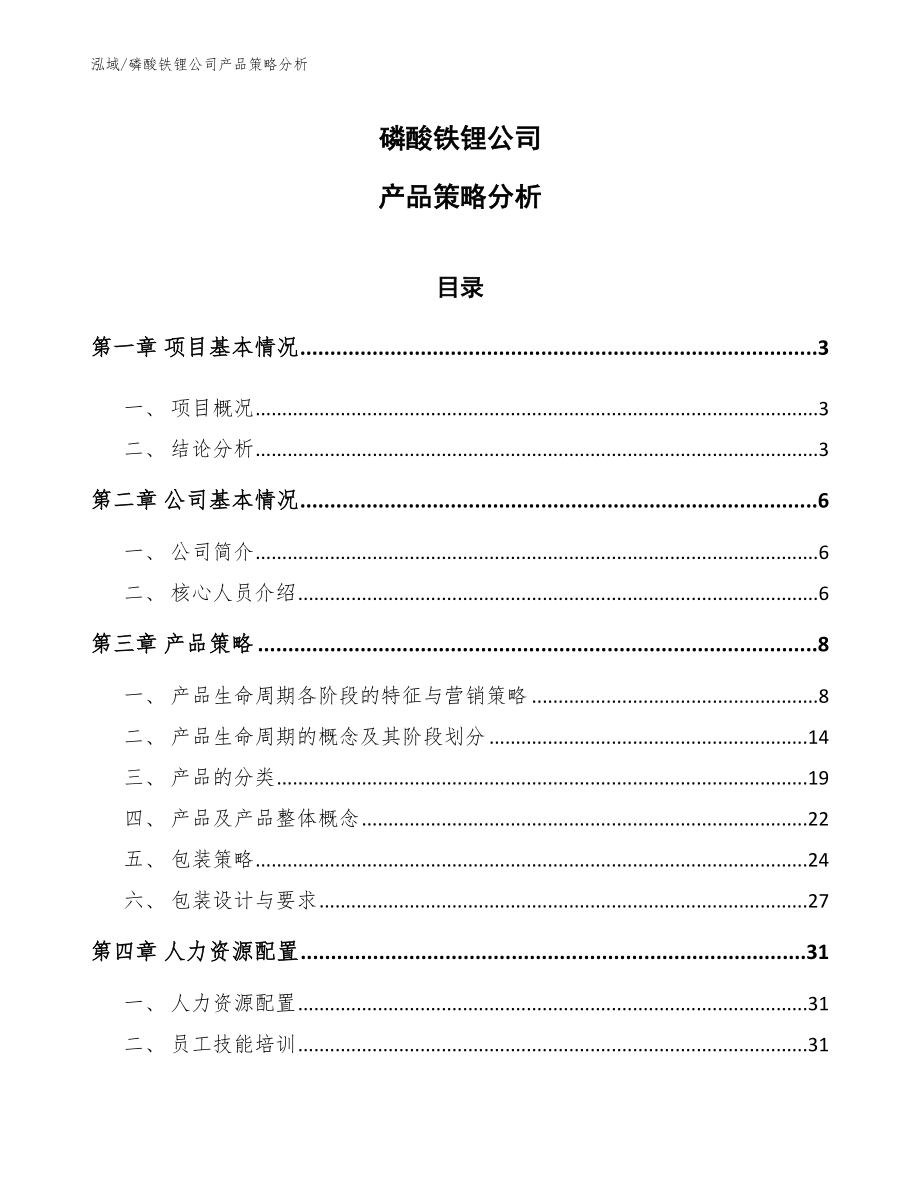 磷酸铁锂公司产品策略分析（参考）_第1页