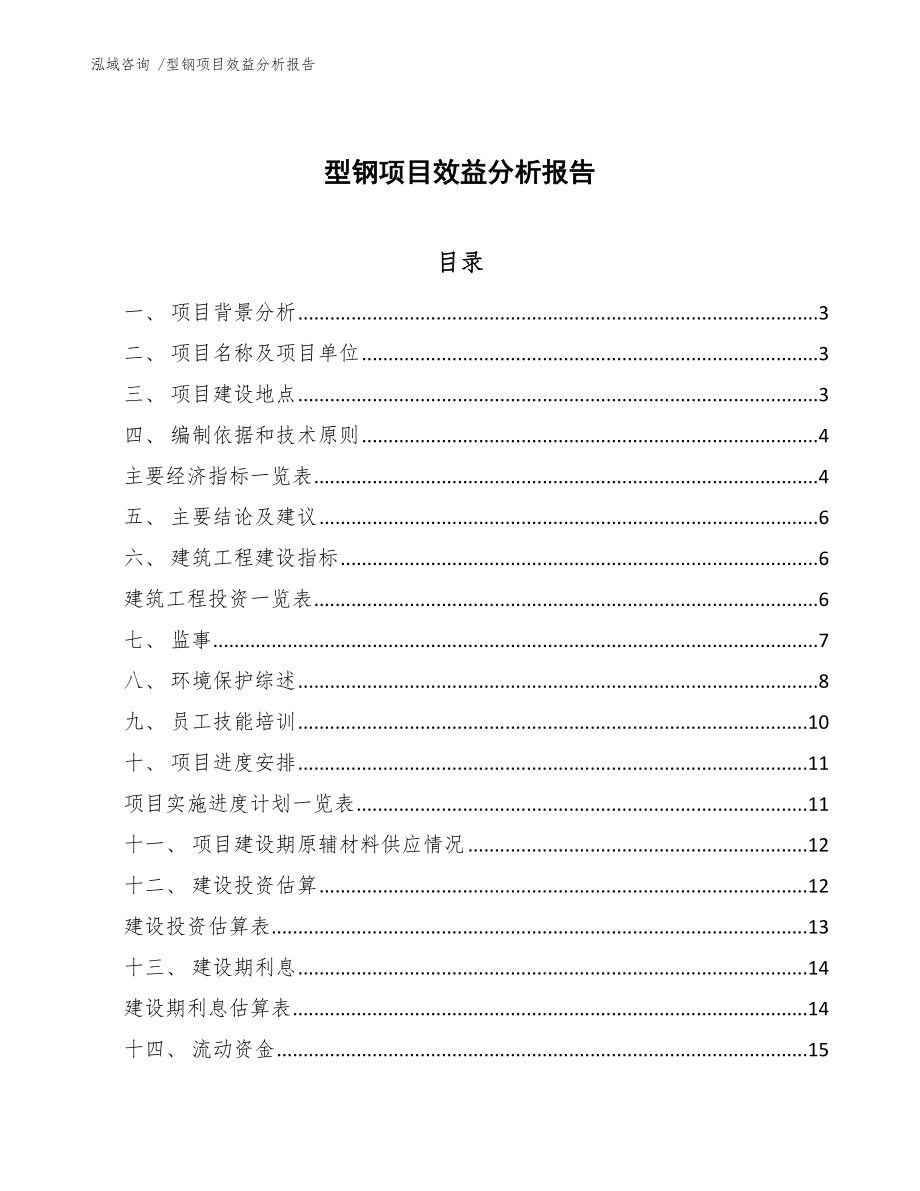 型钢项目效益分析报告_模板参考_第1页