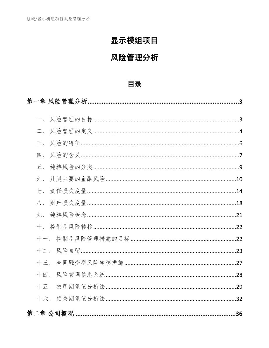 显示模组项目风险管理分析_第1页