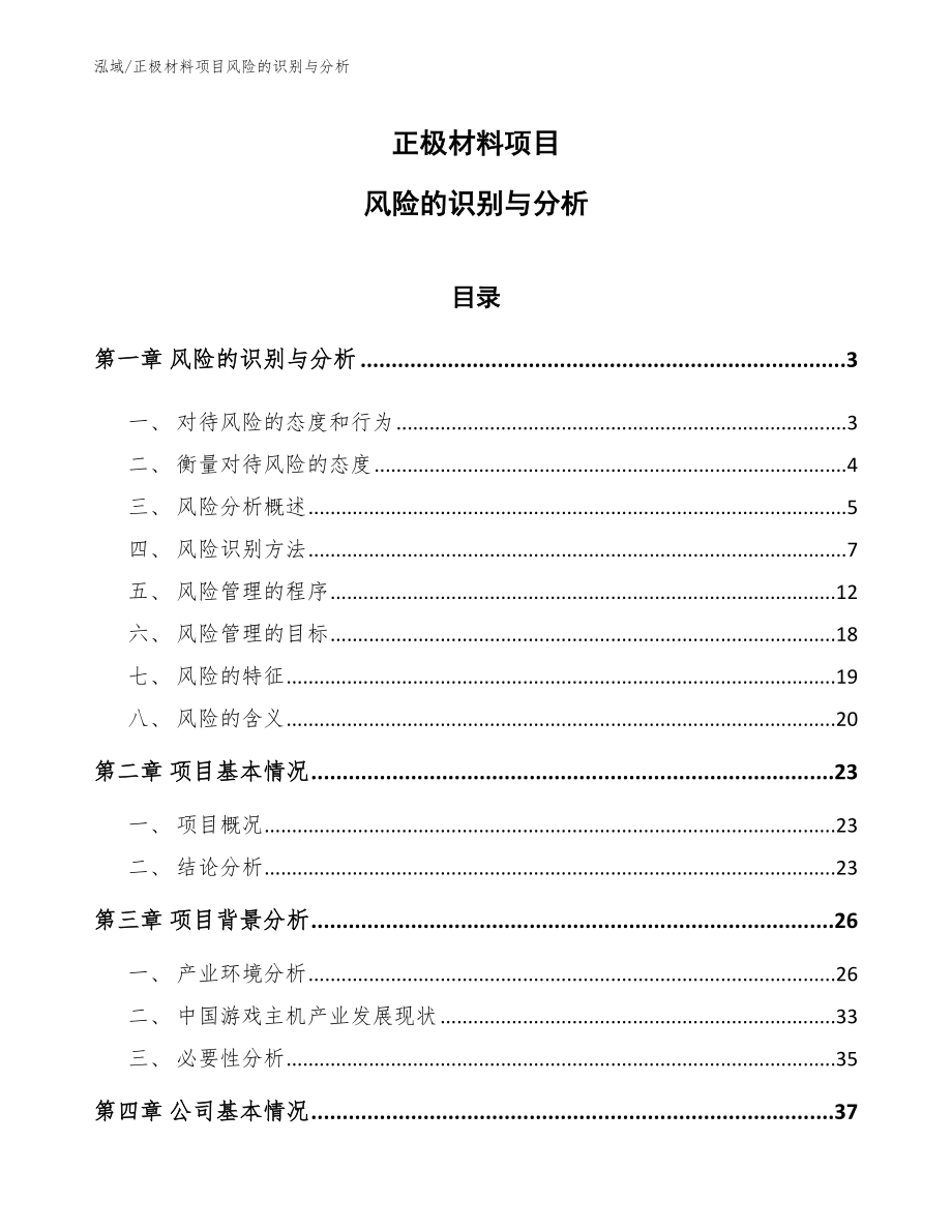 正极材料项目风险的识别与分析_第1页