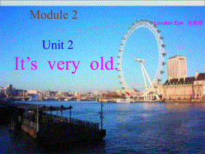 最新四年级英语下册Module2Unit2Itsveryold1教学