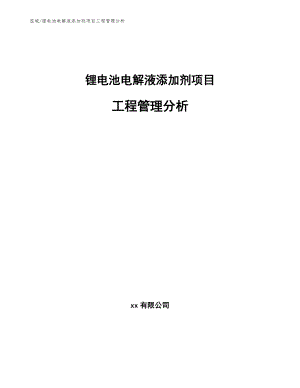 锂电池电解液添加剂项目工程管理分析【范文】