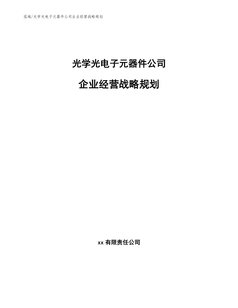 光学光电子元器件公司企业经营战略规划（范文）_第1页