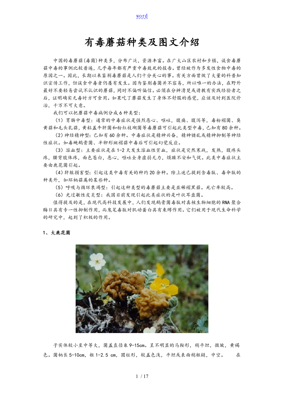 有毒蘑菇种类及图文介绍_第1页