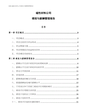 磁性材料公司绩效与薪酬管理报告【范文】