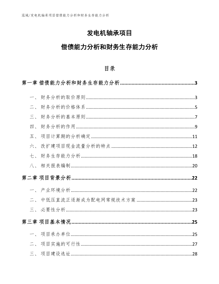 发电机轴承项目偿债能力分析和财务生存能力分析（参考）_第1页