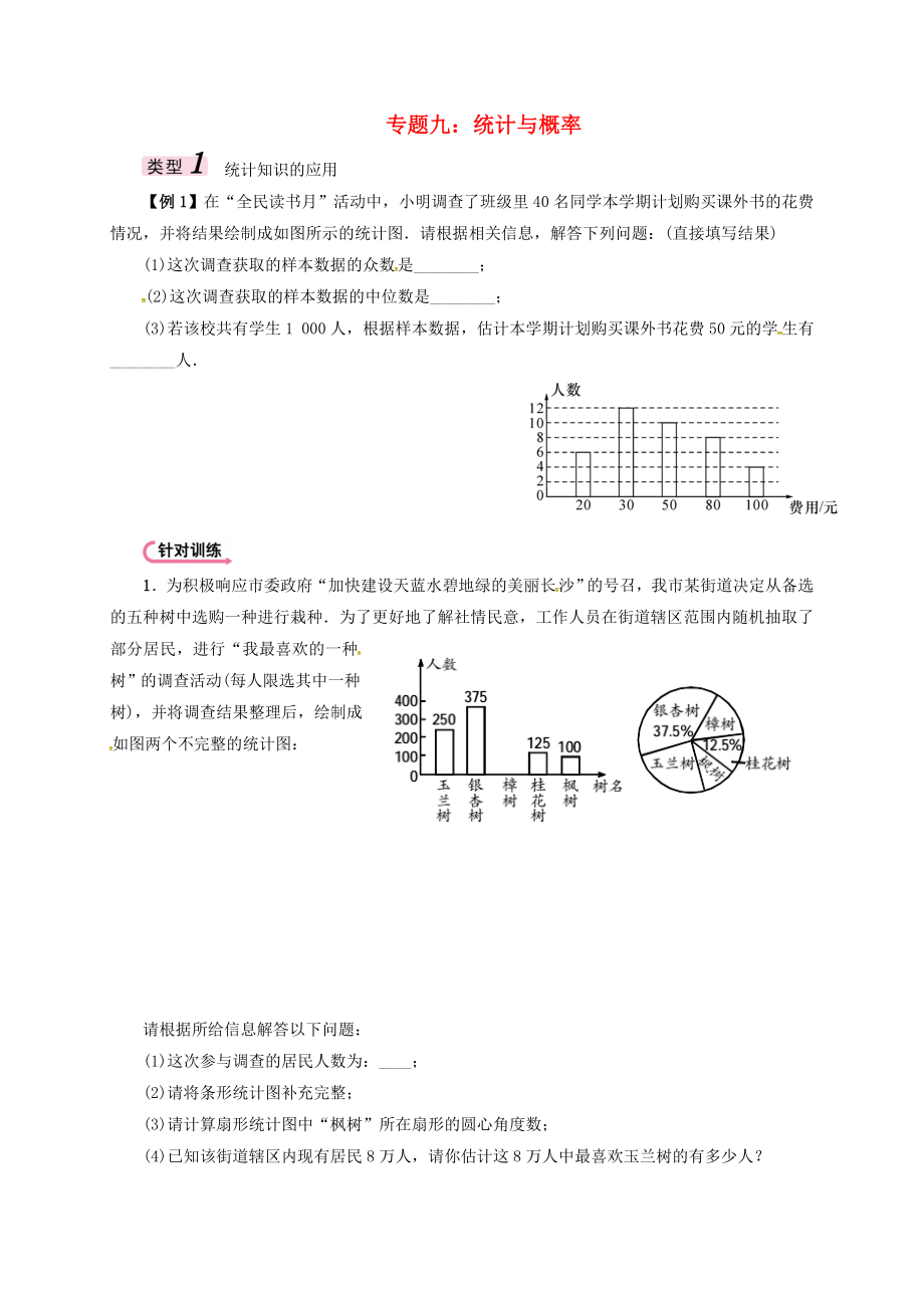 福建省三明市寧化縣2018年中考數(shù)學第二輪復(fù)習練習 專題9 統(tǒng)計與概率_第1頁