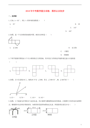 湖南省邵陽市2018年中考數(shù)學(xué)提分訓(xùn)練 圖形認識初步（含解析）