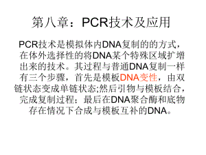 PCR扩增原理及过程ppt